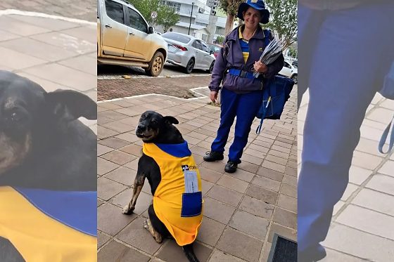 Duque acompanha Marlene Trevizan nas entregas em Paraí, no Rio Grande do Sul, há uma década e ganhou um uniforme personalizado que encantou internautas.