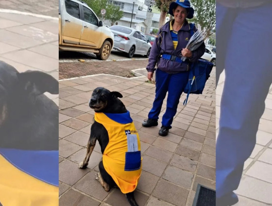 Duque acompanha Marlene Trevizan nas entregas em Paraí, no Rio Grande do Sul, há uma década e ganhou um uniforme personalizado que encantou internautas.