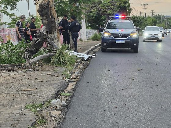 Motociclista morreu após bater contra uma árvore na Avenida Miguel Sutil.