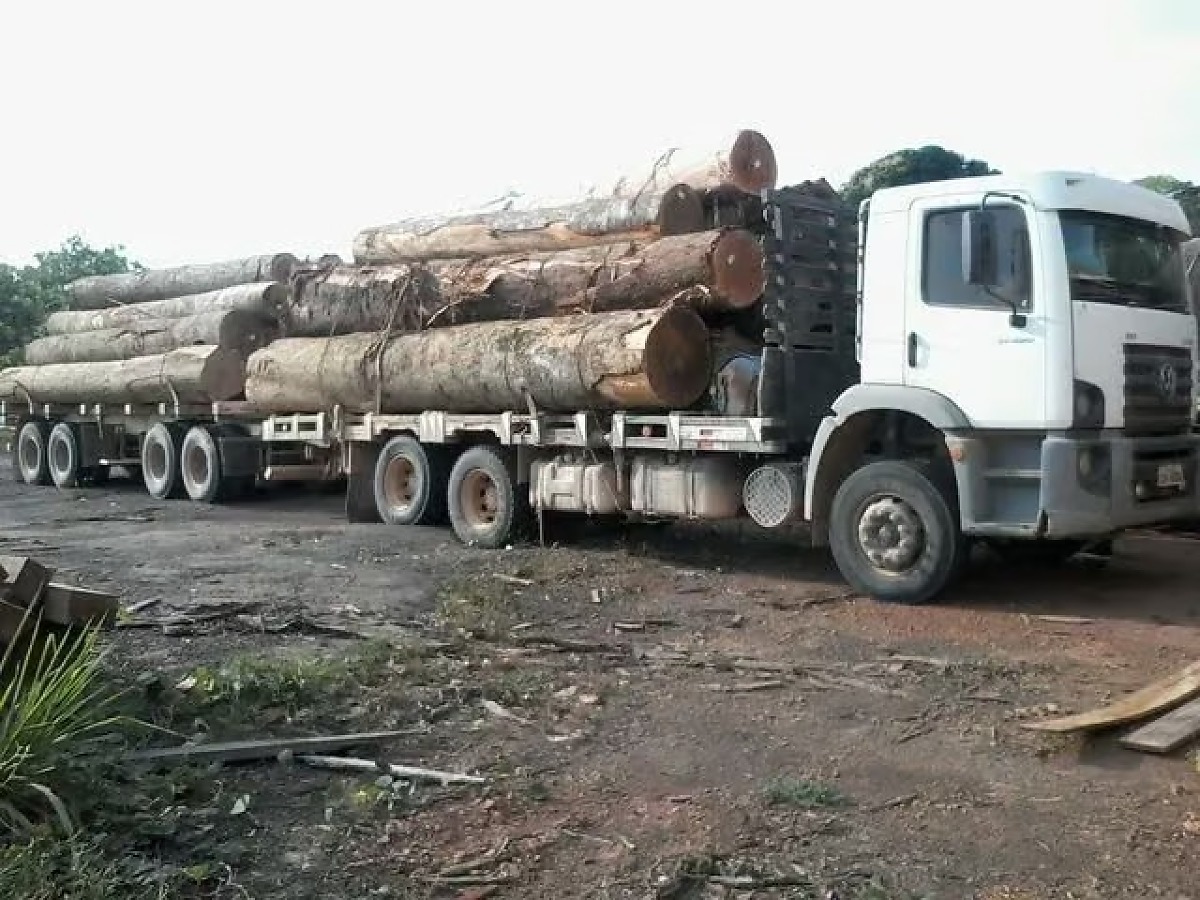 Empresas pagarão R$ 500 mil a família de trabalhador morto em Nova Canaã do Norte, MT