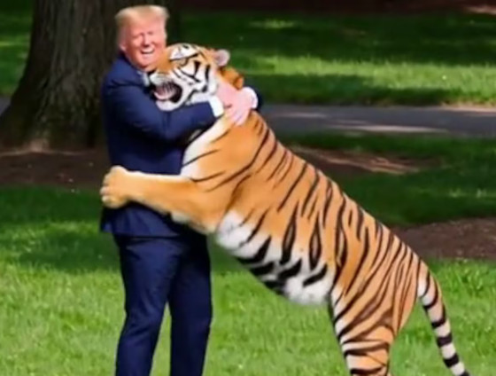  Presidente dos EUA compartilhou imagens do ataque fatal contra William Chapman antes de publicar montagem em que aparece interagindo com o animal.