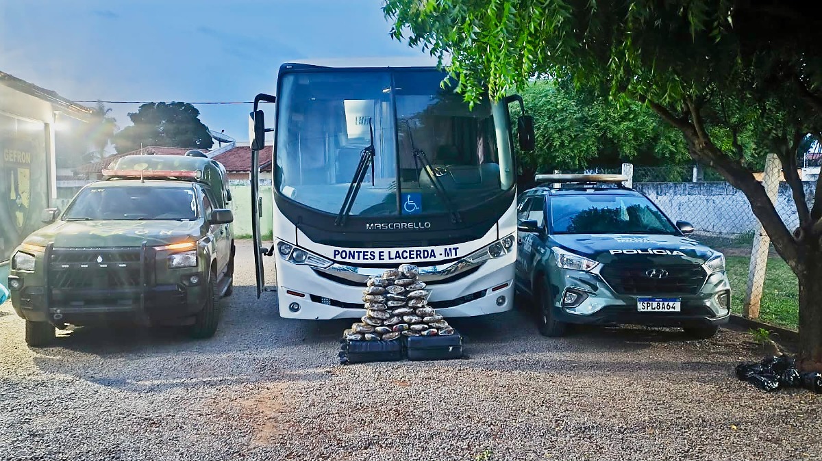 Polícia apreende 31 tabletes de maconha em ônibus em Cáceres, MT