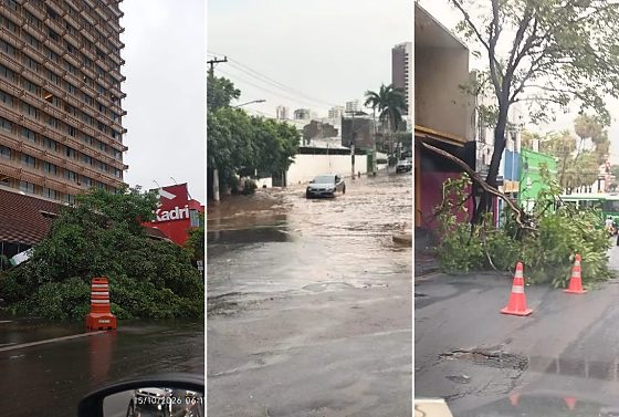 As fortes chuvas que atingiram Cuiabá e Várzea Grande na madrugada desta quinta-feira (15) provocaram quedas de árvores e alagamentos em diferentes bairros.