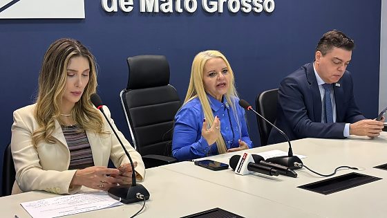 desembargadora Serly Marcondes Alves