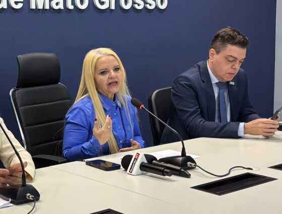 desembargadora Serly Marcondes Alves