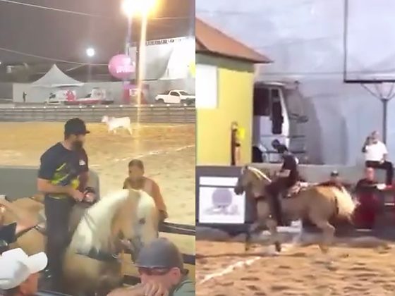 Cantor caiu durante a 22ª Vaquejada de Garanhuns, em Pernambuco, mas não sofreu ferimentos graves e deve voltar à competição.